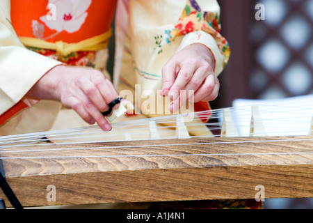 Japanese Woman in Kimono Playing A Koto Stock Photo