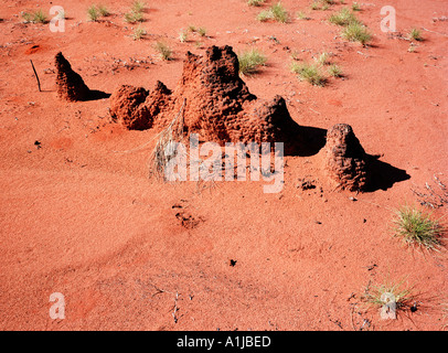 Termite mounds in desert Ayers Rock Northern Territories Australia showing a diagonal row of mounds in the red centre desert Stock Photo