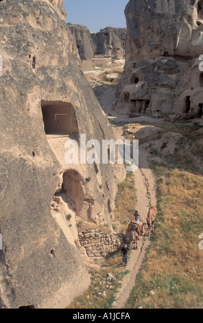camel for riding Cappadocia Stock Photo - Alamy