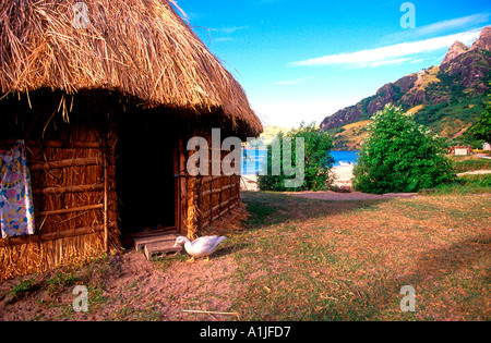 Traditional Fijian thatched huts (bures), Navala village, island of ...