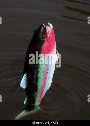 Fish catch fake fishing line food hi-res stock photography and