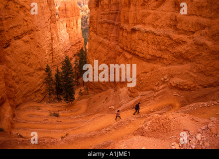 people, hikers, hiking trail, view from Navajo Trail, Navajo Trail, Bryce Canyon, Bryce Canyon National Park, Utah, United States, North America Stock Photo