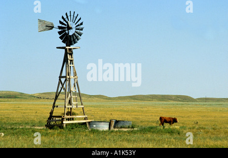 Lone windmill pumps water for cattle on the Colorado prairie Stock Photo