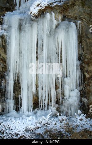 Icicles Stock Photo