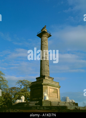 Tenantry Column, Alnwick, Northumberland, England, UK. Stock Photo