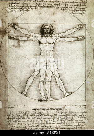 Vitruvian man sketch by Leonardo da Vinci Stock Photo