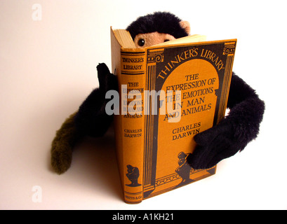 toy monkey reading The Expression of the Emotions in Man and Animals by Charles Darwin Thinkers Library Stock Photo