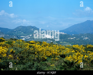 CASARES COSTA DEL SOL SPAIN EUROPE April View across to this typical Andalucian town perched on a rocky spur Stock Photo