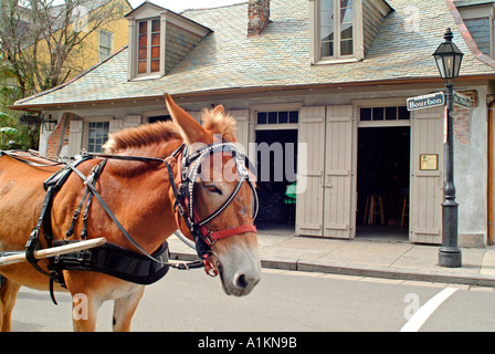 Lafitte’s blacksmith shop bar in New Orleans Stock Photo