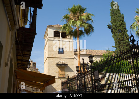 Malaga, Costa del Sol, Spain  El Palacio de Los Condes de Buenavista housing Museo Picasso de Málaga Stock Photo
