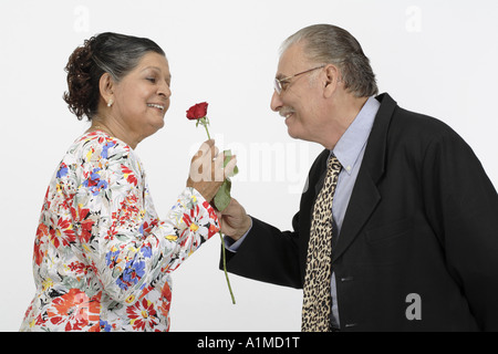 Loving Indian senior citizen couple husband offering rose flower to wife Stock Photo