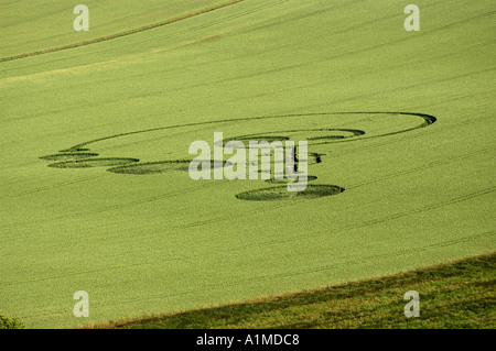 Crop Circle at East Field nr Alton Barnes Wiltshire Reported 20th June 2004 Stock Photo