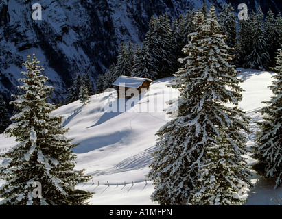 tracks of skiers in powdersnow near village of murren region of bernese highland swiss alpes canton of berne switzerland Stock Photo