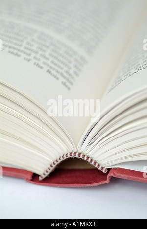 Open Book, Close Up. Stock Photo