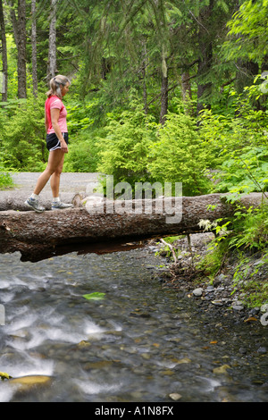 Hiker on Winner Creek Gorge Trail Girdwood Chugach National Forest Alaska MR Stock Photo