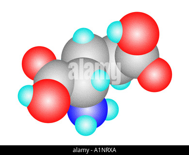 3D computer model of the glutamic acid molecule Stock Photo