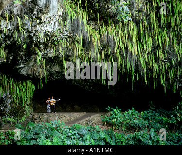 USA - HAWAII: Fern Grotto on Kauai Stock Photo