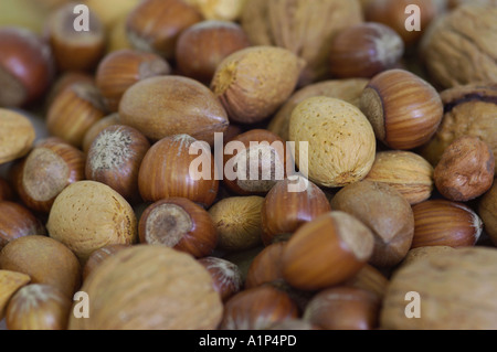 Mixed nuts in shells Stock Photo