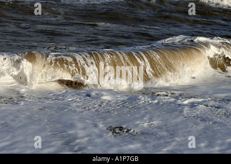 Wave breaking on the shore Stock Photo