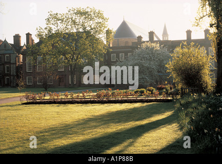 View from gardens of buildings and Chapel Somerville College Oxford Stock Photo