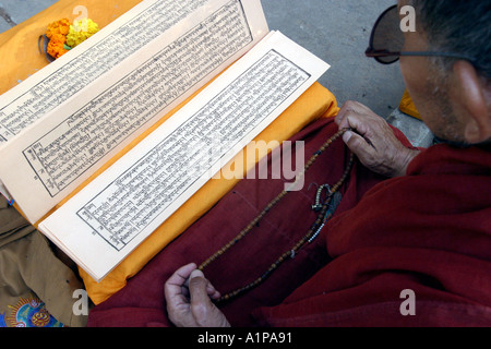 Traditional Buddhist scriptures in the Pali language are carved to a ...