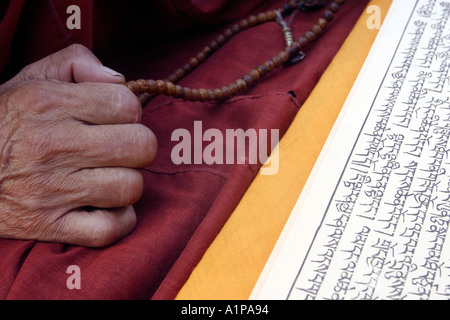 Traditional Buddhist scriptures in the Pali language are carved to a ...