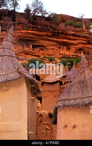 Pointed thatched roofs of Banani village Dogon granaries beneath the Bandiagara Escarpment cliff near Sangha Mali Stock Photo