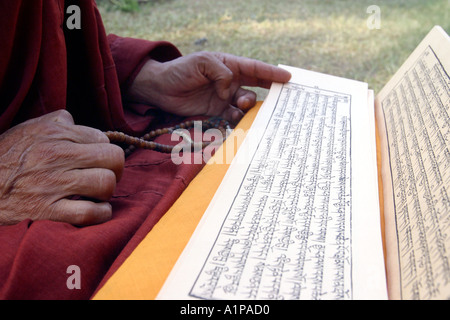 A Tibetan Buddhist monk reads a traditional sutra (scripture) in Pali ...