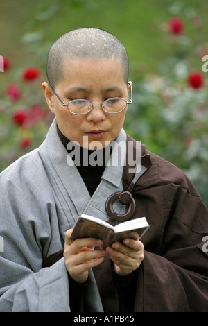 A Korean Zen Buddhist nun reads from a book in Bodhgaya in Bihar in India Stock Photo