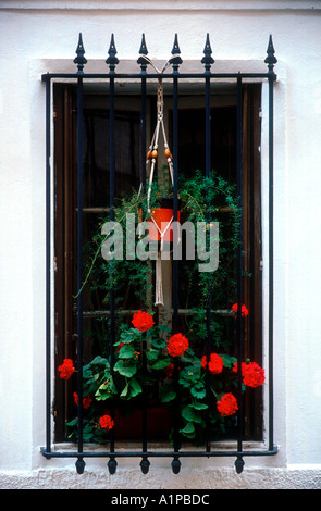 Red potted geraniums in window south of France Stock Photo