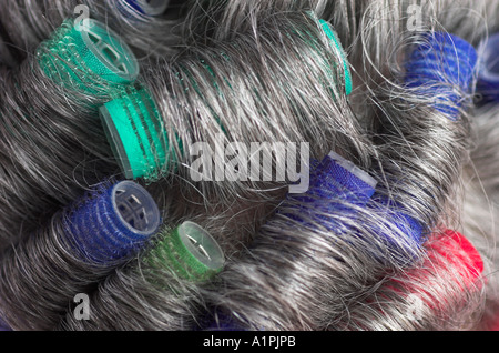 Abstract view of hair curlers on womans head Stock Photo