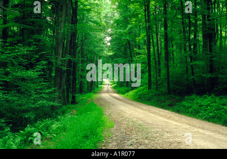 Allegheny National Forest Pennsylvania USA Bicycles Stock Photo