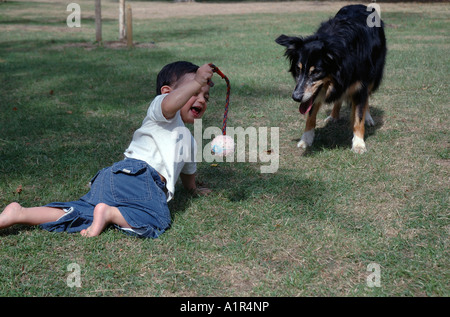 Young toddler in park with ball and dog. Stock Photo