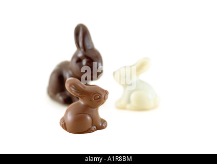 Chocolate bunnies Stock Photo
