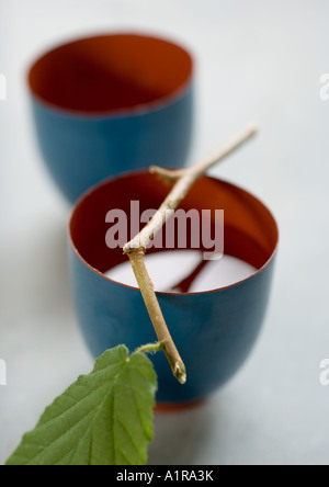 Cups of tea and stem with leaf Stock Photo