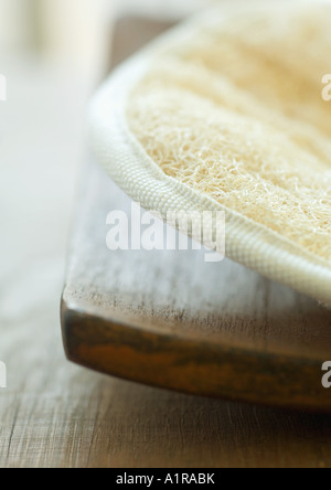 Loofah sponge on wooden tray Stock Photo