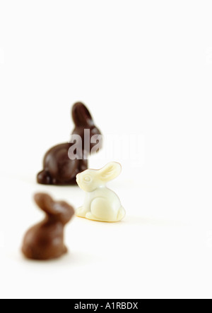Chocolate bunnies Stock Photo