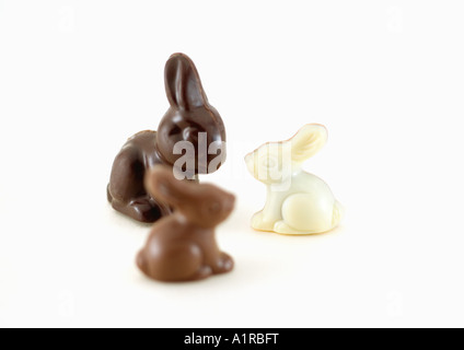 Chocolate bunnies Stock Photo