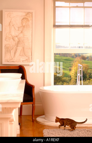 A CAT IN A MODERN LUXURY BATHROOM Stock Photo