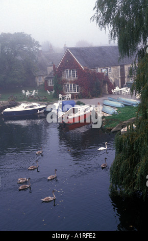 Boats moored on a misty day in Lechlade seven cynets follow a swan towards the bank Stock Photo