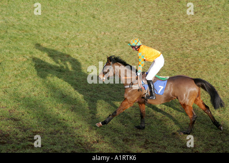 Horse and Jockey at Ludlow Racecourse, Shropshire Stock Photo
