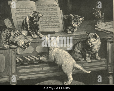 Musical cats circa 1895 Stock Photo