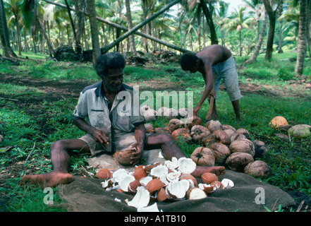 Taviuni Fiji no model release editorial use only Stock Photo