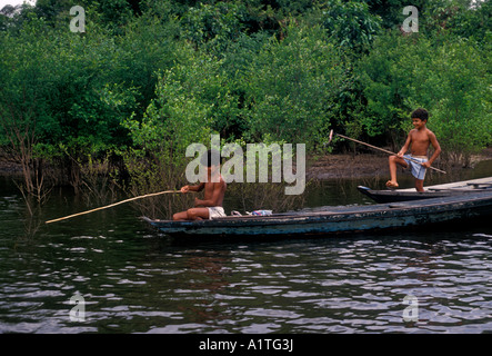 2, two, Brazilian boys, boys, friends, fishing, dugout canoe, Obim Lake, Amazon River Basin, Amazonas State, Brazil, South America Stock Photo