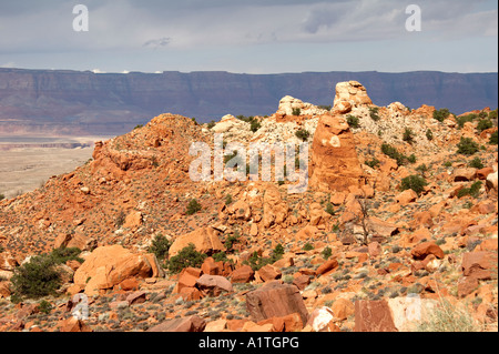 Colorado plateau Stock Photo