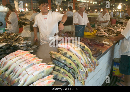 Amazon River fish in the market at Manaus Amazonas state Brazil Stock Photo