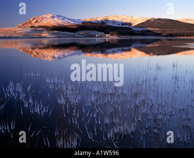 A cold frosty still Scottish scenic winter snow frozen landscape at Clatteringshaws Loch in Galloway Forest Park Scotland UK Stock Photo