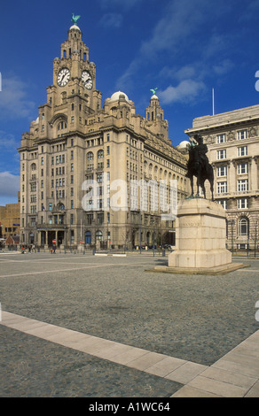 Liver building and Edward VII statue Liverpool merseyside England UK GB EU Europe Stock Photo