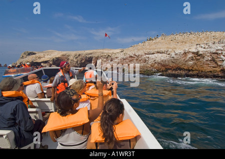 A view from a guided boat trip to the Ballestas Islands as tourists take photographs of the wildlife. Stock Photo