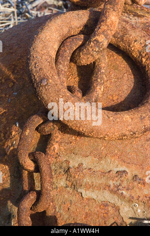 Anchor ring and chain at Broughty Ferry , Tayside, uk